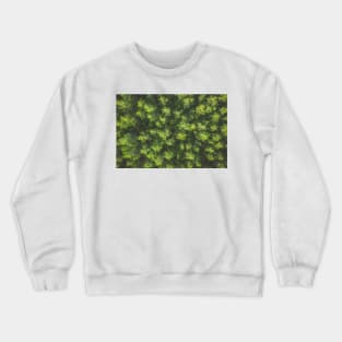 Top down aerial view of pine forest Crewneck Sweatshirt